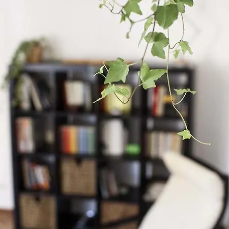 Apartment Nove